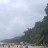 丑小鸭的头像