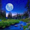 秋湖明月的头像