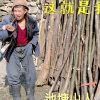 123池塘山人的头像