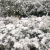 雾里看花的头像