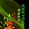 微风细雨的头像