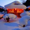 @白雪的头像