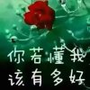 恋城迷茫的头像