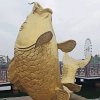 打伞的鱼儿的头像