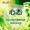 残雪的头像