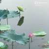 yu谈笑人生的头像