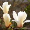 *春暖花开*的头像