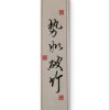 红杉树(忙)的头像