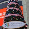 雪的头像