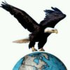 飞鹰的头像