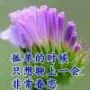 秋后雨的头像
