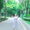 燕山飞鹰的头像