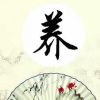 国宝青岛的头像