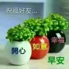 草根男的头像