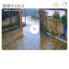 相识是缘的头像
