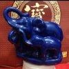 蓝寳杉互花支持的头像