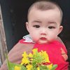 花好月圆的头像