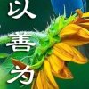 沉默是金的头像