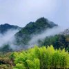 依山伴水的头像