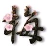 梅的头像