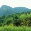 大山）的头像