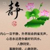 静心、心净的头像