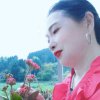 华姐(暂停)的头像