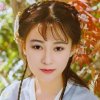 董事长心愿的头像