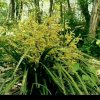 春暖花开的头像