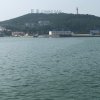 新九星眼泪为你唱歌的头像