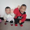 小燕子的头像