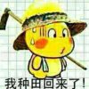 心随我动的头像