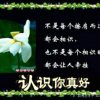 思念的头像