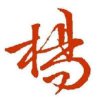 金蛇银龙的头像