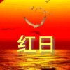 红日的头像
