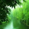 蜂驰天下的头像