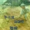 陪你去看海的头像