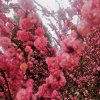 泉韵的头像