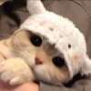 一伴的头像
