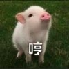 ☞我已成年爱谁谁☜^的头像