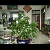阳光灿烂的头像