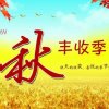 秋丰的头像