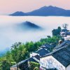 白莲花的头像