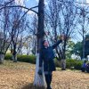 ljq的头像