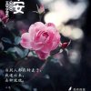 辉的头像