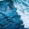 海阔天空《已停币》的头像