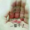 风中～落的头像