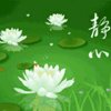 心静如水的头像