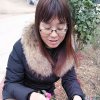 拂晓芬芳的头像
