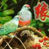缘来如此暂退停的头像
